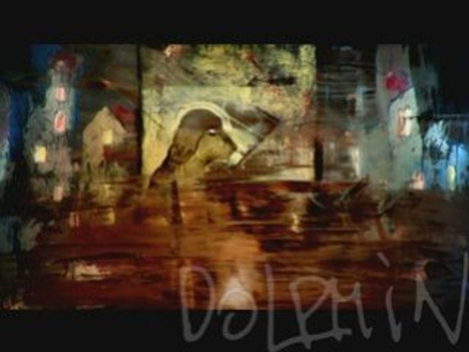 Dolphin - Snow