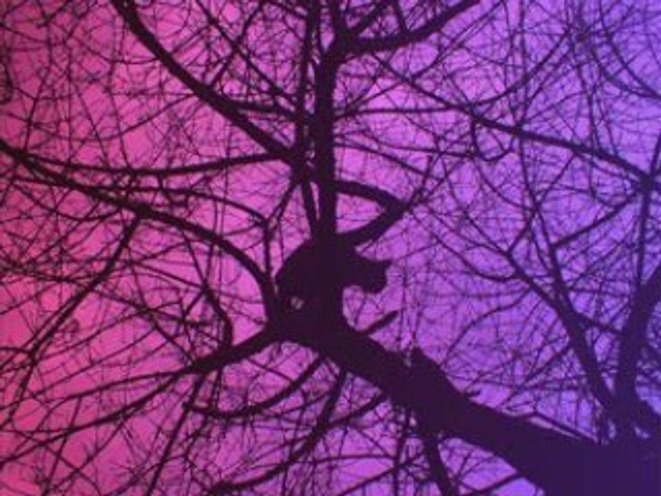 Vieilles chansons françaises :"il était une bergère "