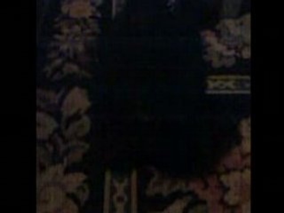 PUNKY CHIEN ROCKERmov