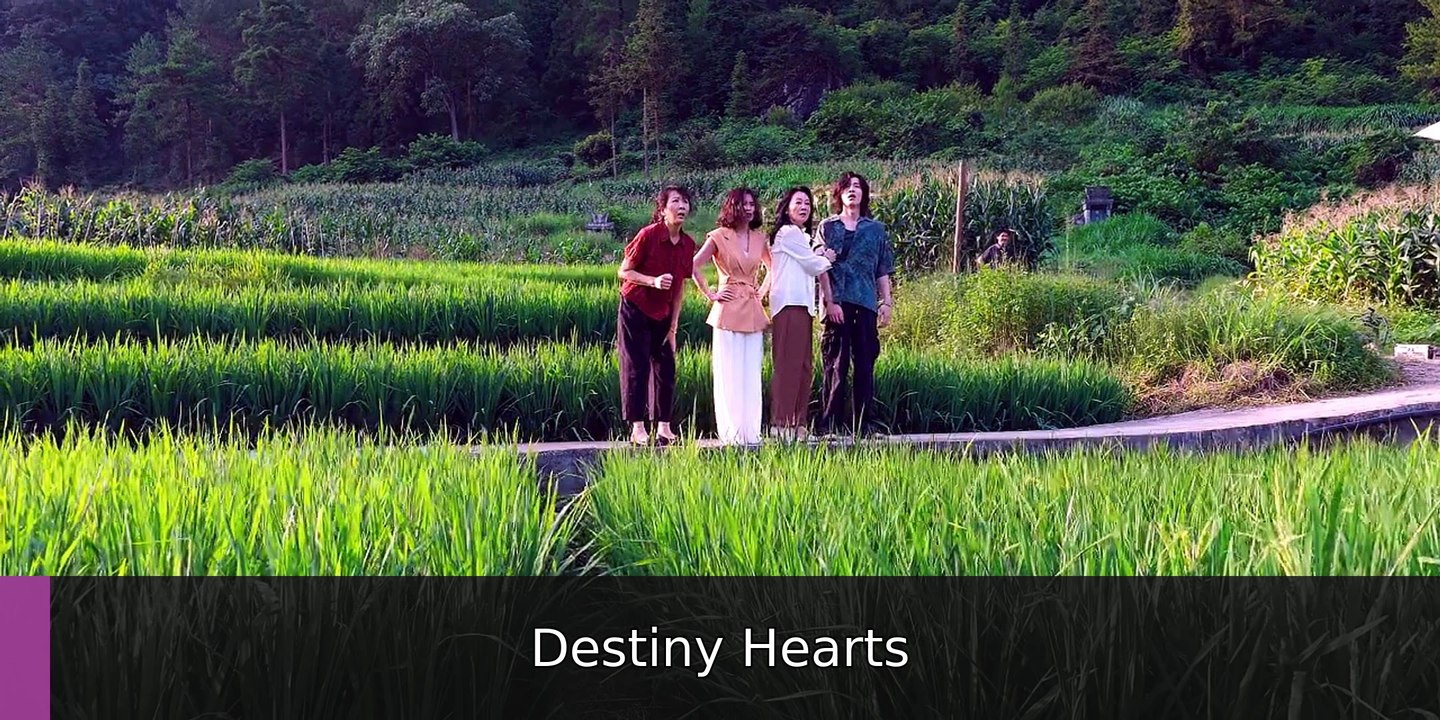 Xiao Fang Gets Married (2026) Episode 2 I FULL MOVIES ENGLISH SUB | Destiny Hearts