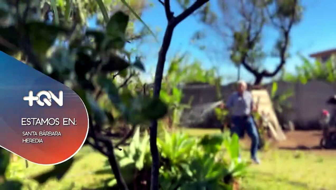 mqn-con-95-anos-siembra-alegria-en-santa-barbara-de-heredia-060426 [Full Movie]