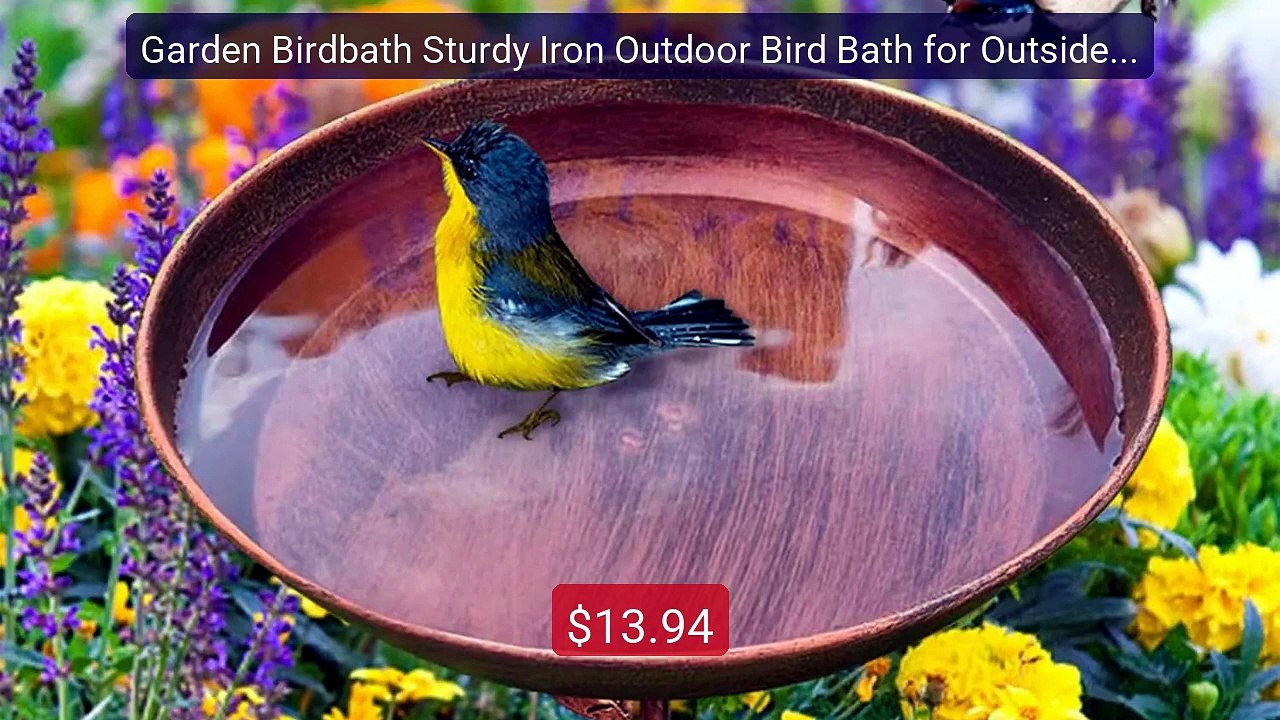 Garden Birdbath Sturdy Iron Outdoor Bird Bath for Outside V... -- Top Pick 2026 | Unbeatable Price!