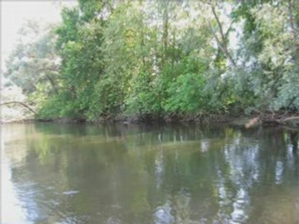 Gabarres à BEYNAC - troisième journée avec ZO