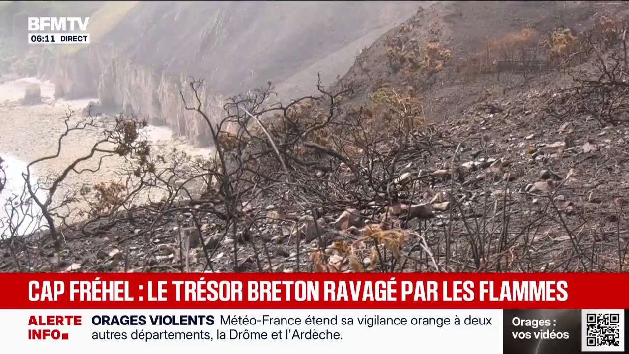 À cause d'un incendie, 38 hectares des landes d...