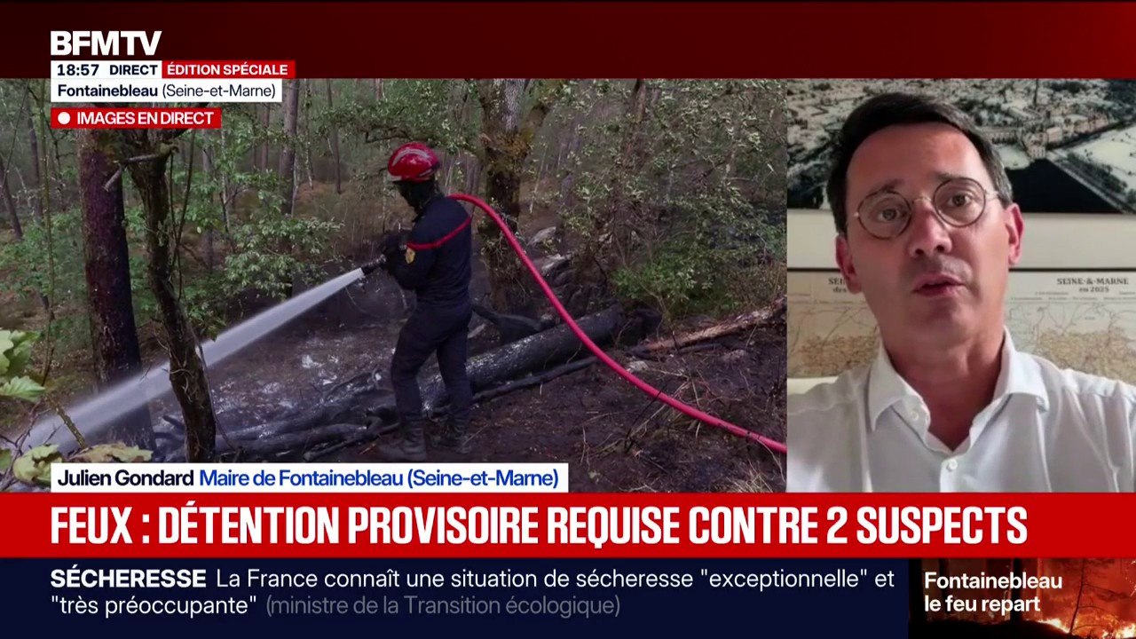 Incendies de Fontainebleau: "Le pic de la crise est, je l'espère, derrière nous", confie Julien Gondard, le maire de Fontainebleau