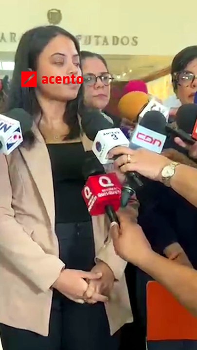 Más de 70 juristas piden cambiar el Código Penal para incluir las “tres causales” de interrupción del embarazo