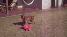 Camila y los globos