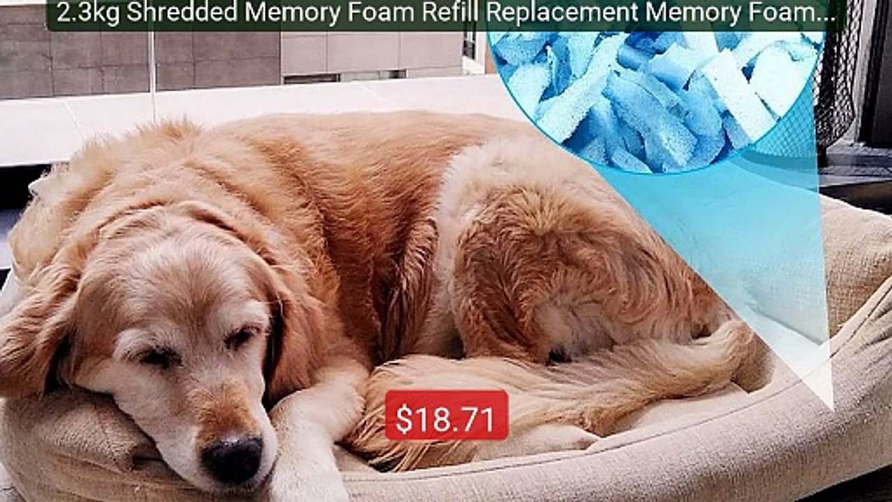 2.3kg Shredded Memory Foam Refill Replacement Memory Foam Fil... -- Amazing Value 2026 | Must Have!