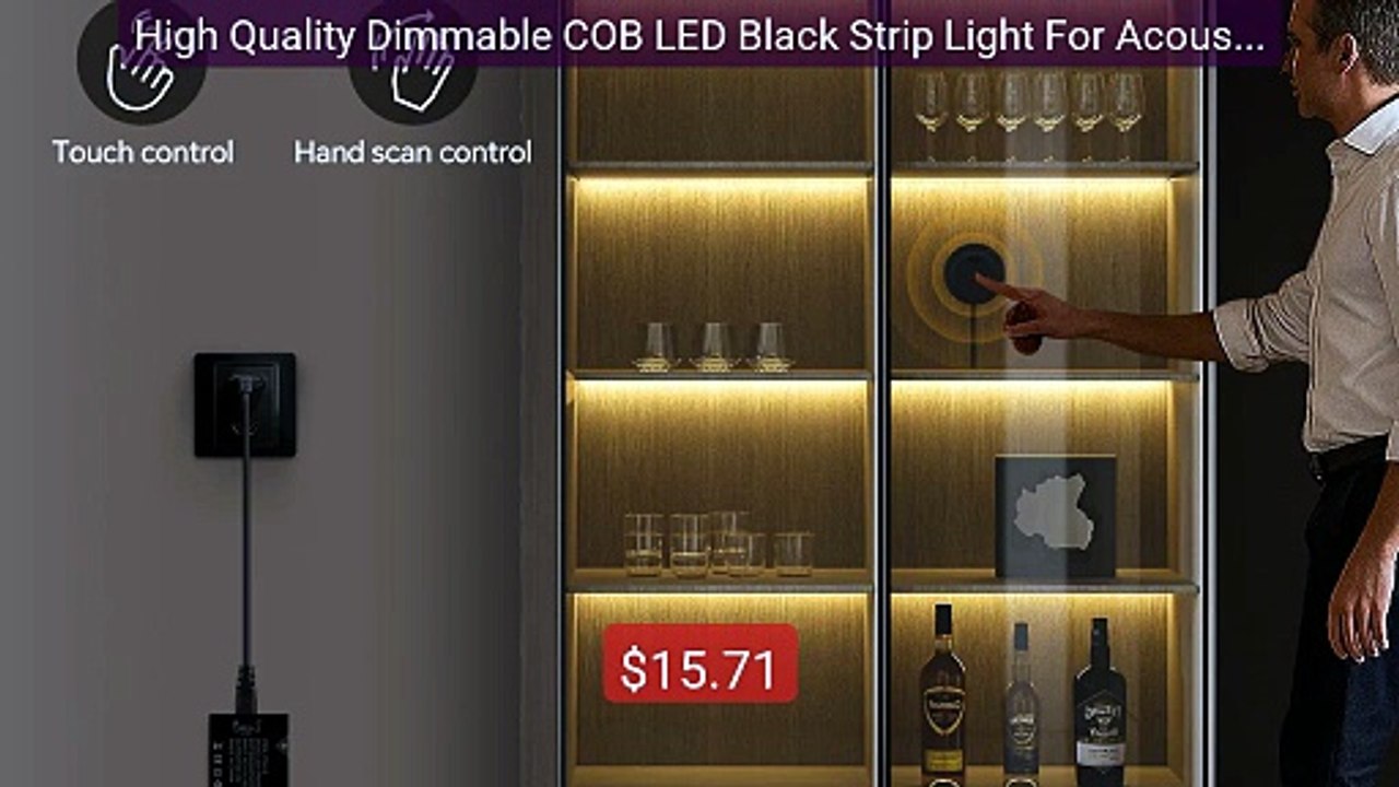 High Quality Dimmable COB LED Black Strip Light For Acoustic ... -- Amazing Value 2026 | Must Have!