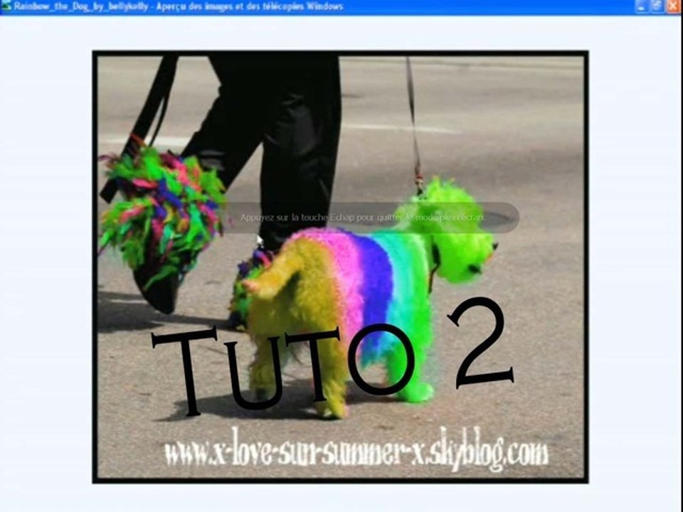 FreD || Tutorial photoshop #2 faire un Gif  de couleur