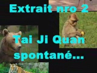 Extrait nro 2 Tai Ji Quan spontané des Animaux DL003
