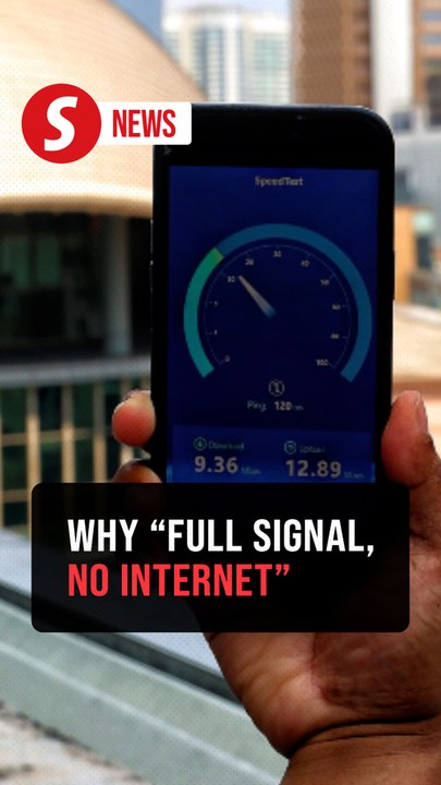 Network congestion, theft, wildlife behind 'full signal, no internet' issues, says ministry