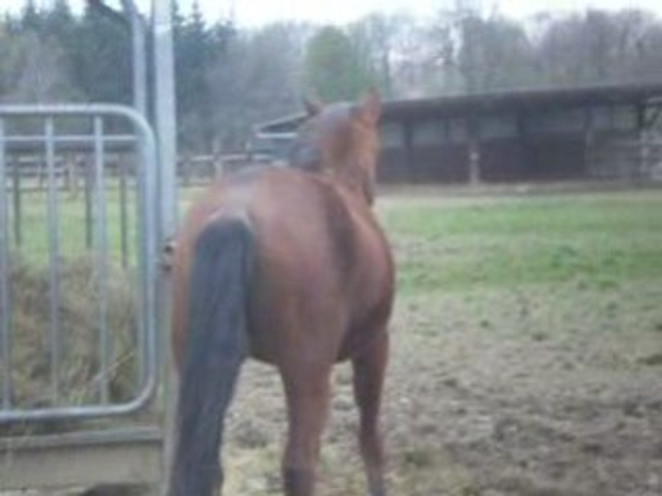 Champ de ma Quanellou !!!