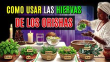 ¡CUIDADO!como debes usar las hierbas de los orishas
