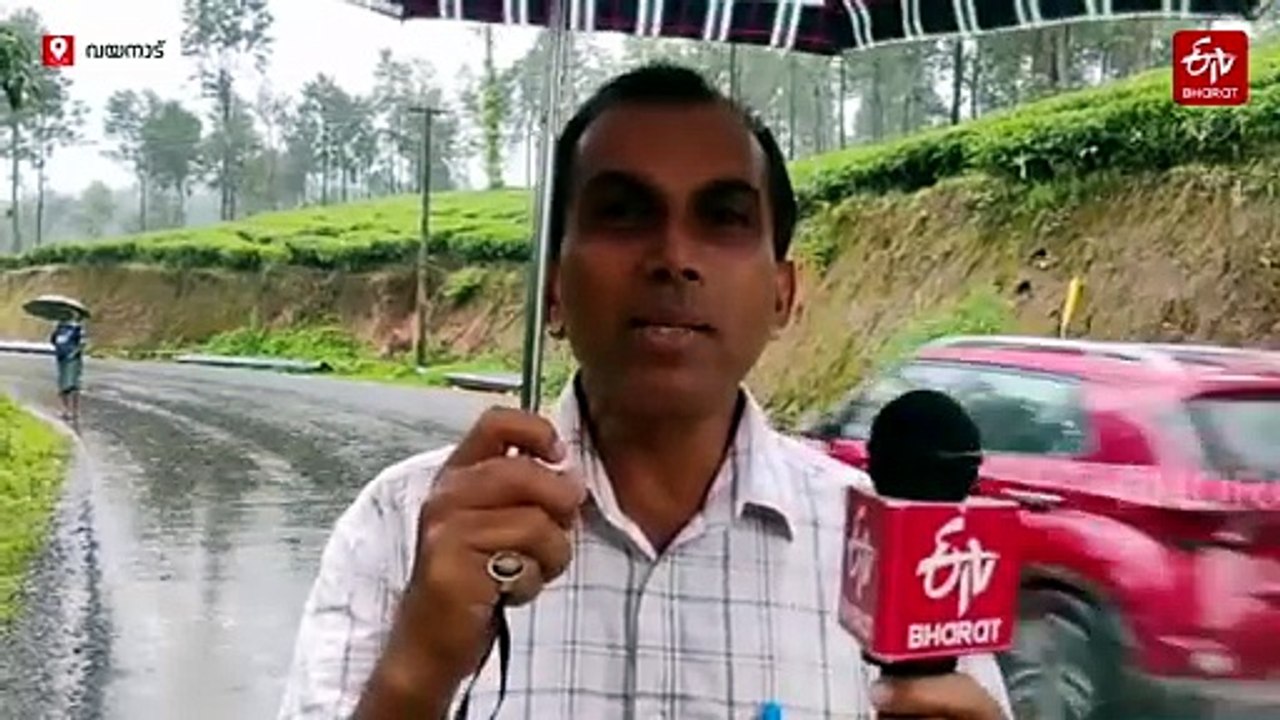 'മഞ്ഞും മഴയും പ്രേമിക്കുന്നേരം'...എങ്ങോട്ട് നോക്കിയാലും വിസ്‌മയങ്ങള്‍, മണ്‍സൂണ്‍ വൈബാക്കാന്‍ 'വയനാടല്ലാതെ പിന്നെവിടെ'