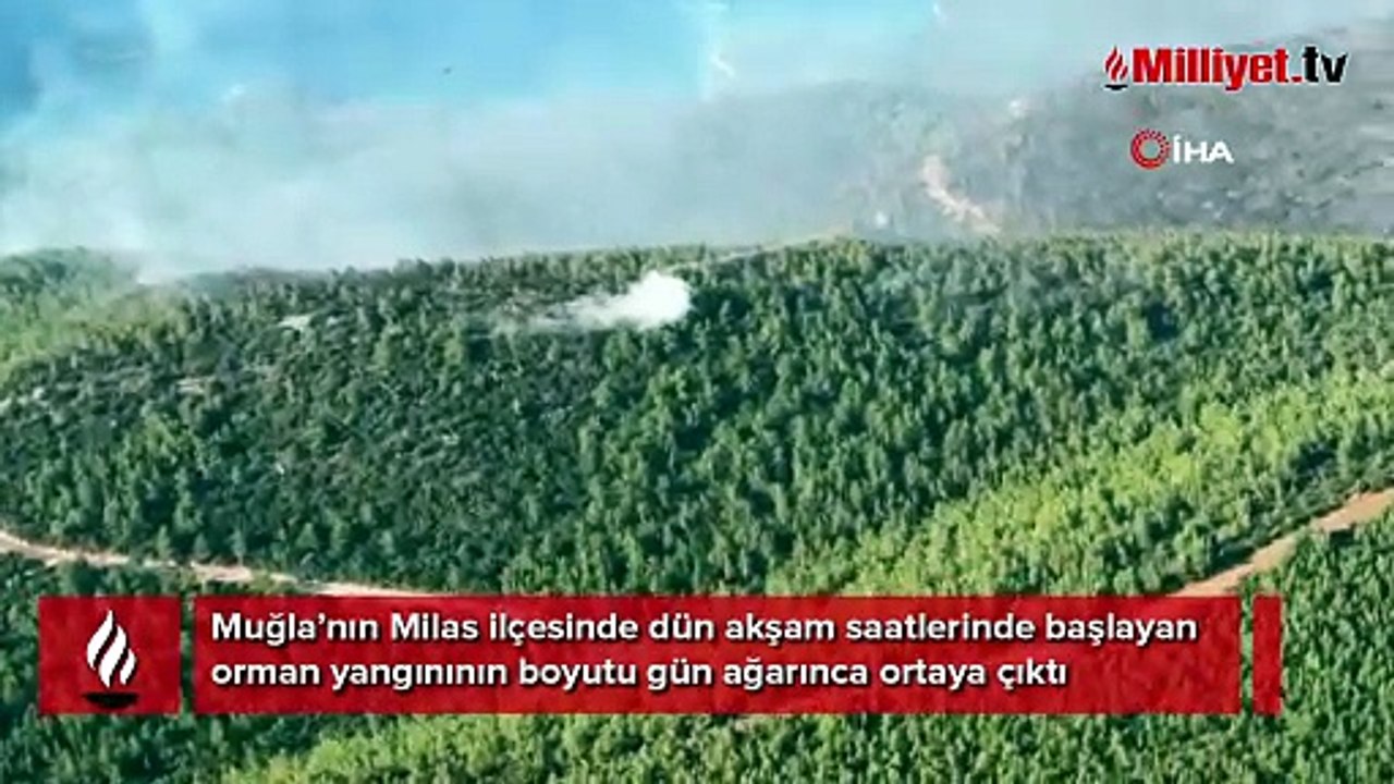 Muğla'da orman yangını: Alevler lüks villa ve otellerin bulunduğu alana yaklaştı