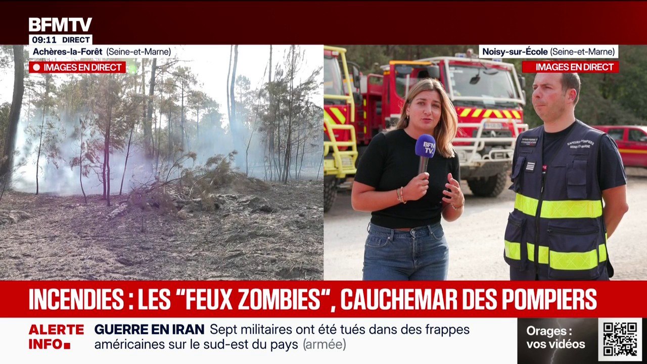 Incendies de Fontainebleau: "On continue de lutter contre d'éventuelles reprises de feu", assure le chef du service communication des pompiers de Seine-et-Marne