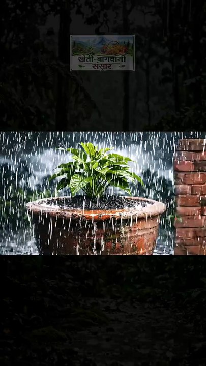 जल निकासी का महत्व
