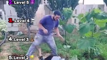 Ranking the Funniest #Chicken Screams 😭🐔 | Try Not To Laugh Challenge #Shorts