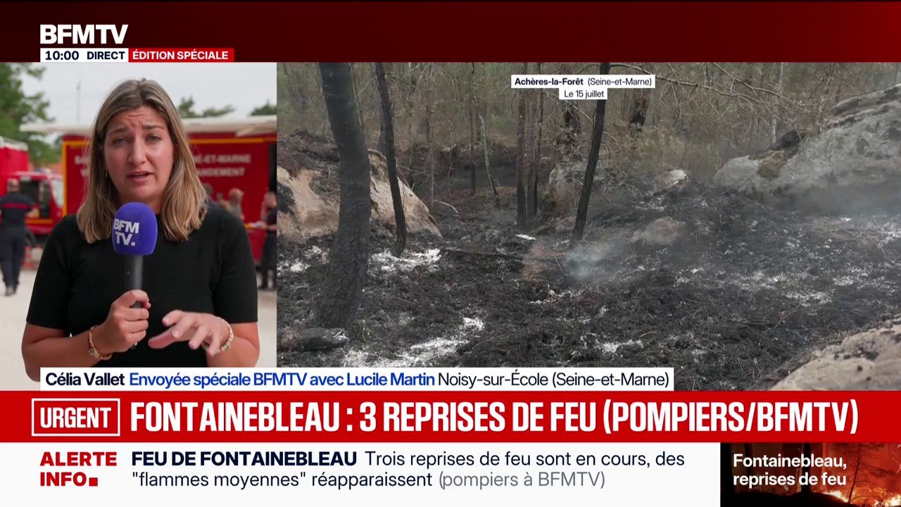 Incendie de Fontainebleau: trois reprises de feu ce mercredi matin