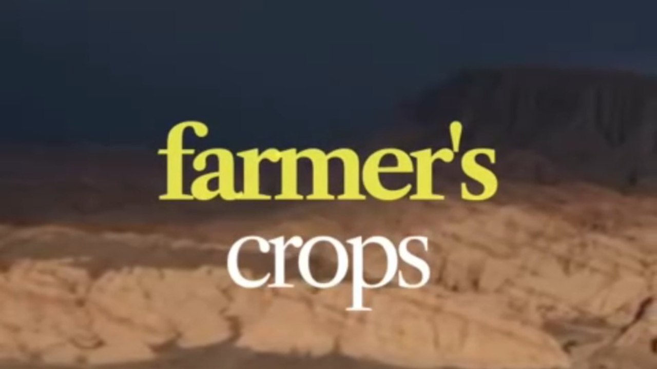 The Farmer Who Never Gave Up