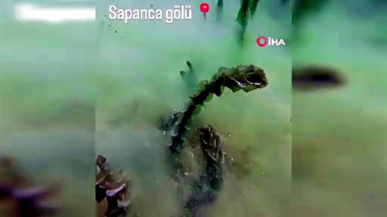 Sapanca Gölü'nün dibinde merak uyandıran şaşırtan keşif