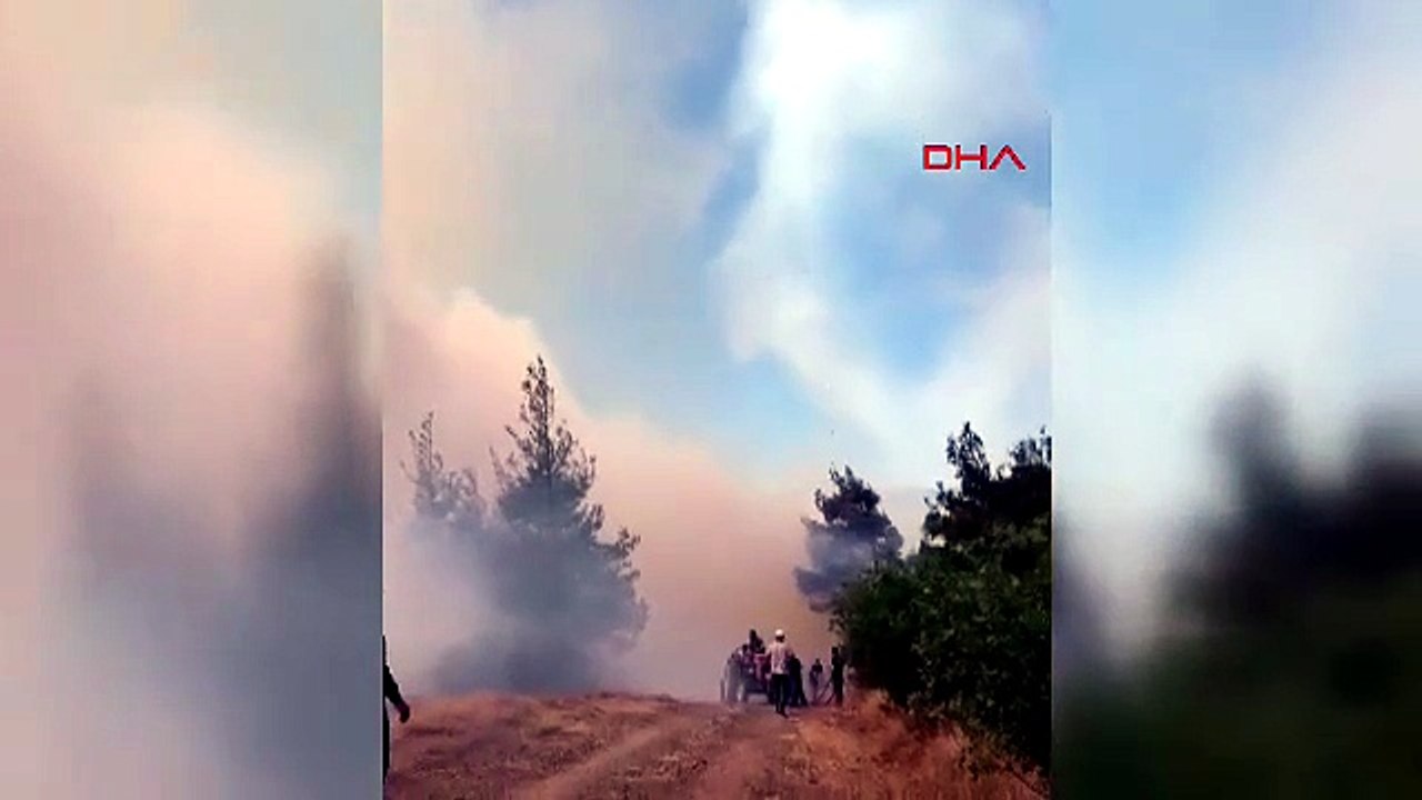 Bir orman yangını daha! Alevler rüzgarla yayıldı