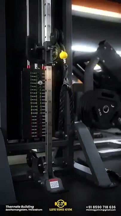 A lifetime gym girl workout focuses on consistent strength, endurance, and flexibility training,
