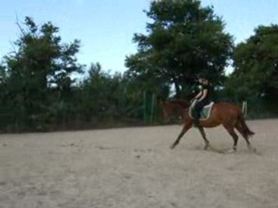 DSCF2309