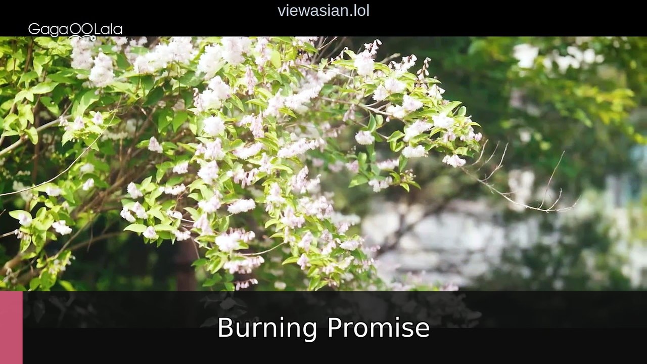 Love in Protocol - Episode 1 Burning Promise