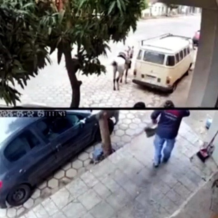 Assista! Homem leva coice de cavalo e revida: "satanás, quer morrer?"