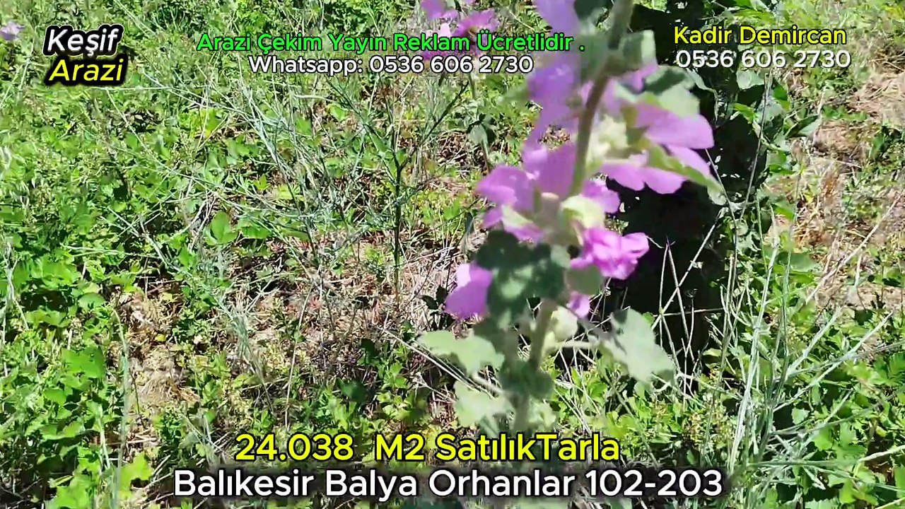 24.038 M2 Satılık Tarla Keşif Arazi. Balıkesir Balya Orhanlar
