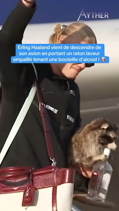 Haaland est LA star du mondiale & voici pourquo...