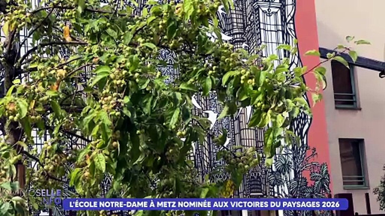 L'école notre-Dame à Metz nominée aux Victoires du paysage 2026