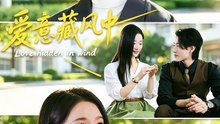 爱意藏风中（80集）谢杰＆星洗云