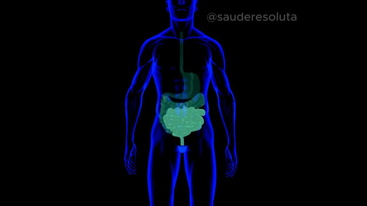 INTESTINO - o seu gera Saúde ou Doença?
