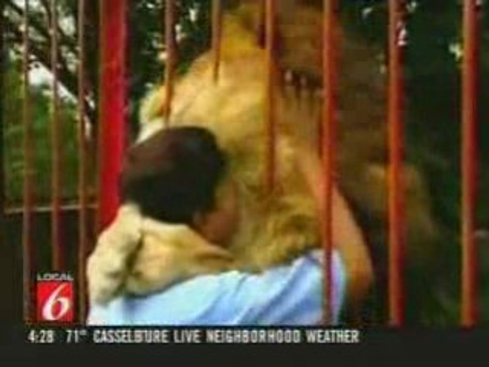 Retrouvailles lion/maître