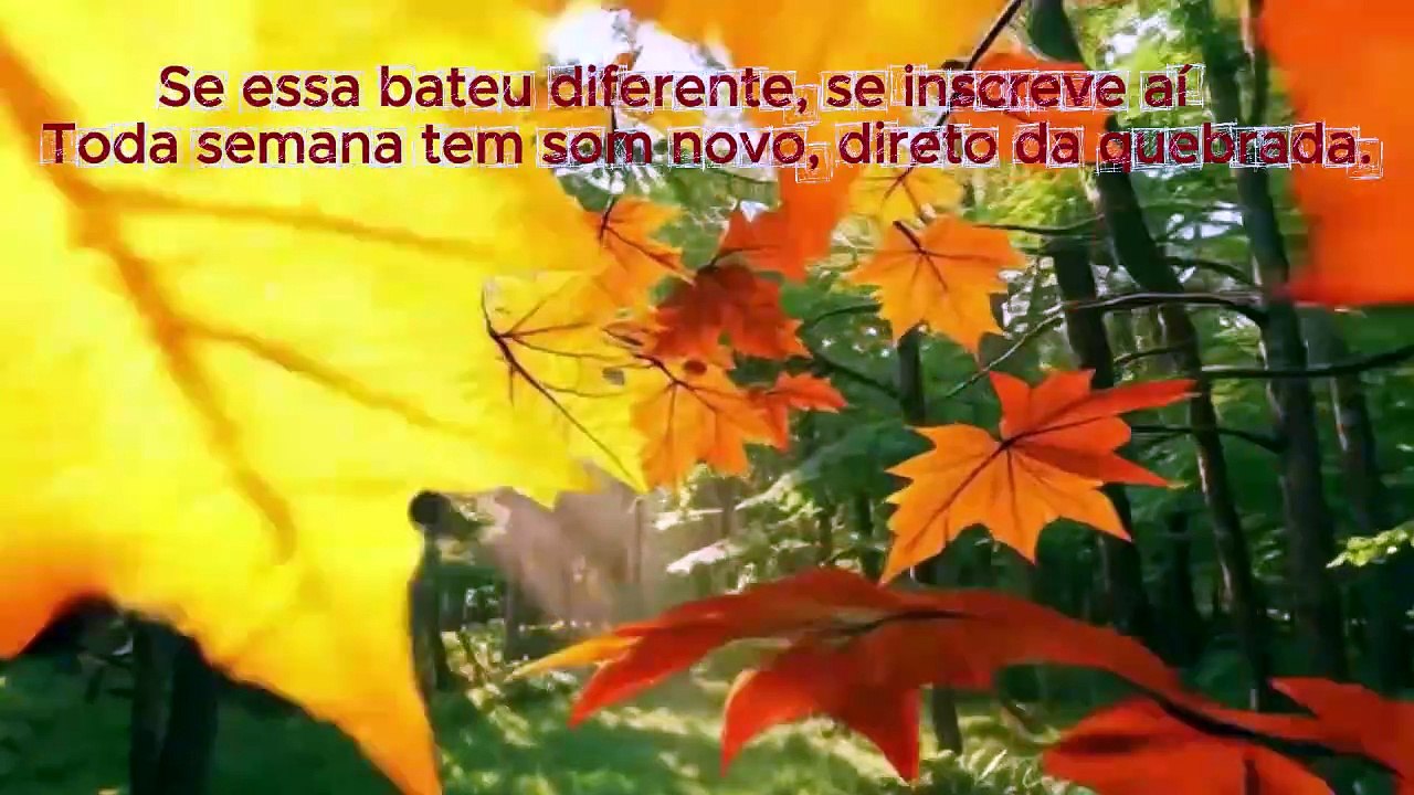 Cicatriz