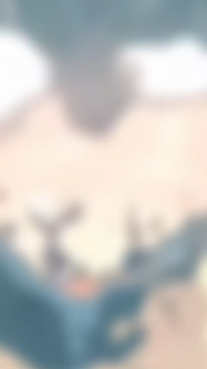 Zenitsu ? Ou inosuke ?