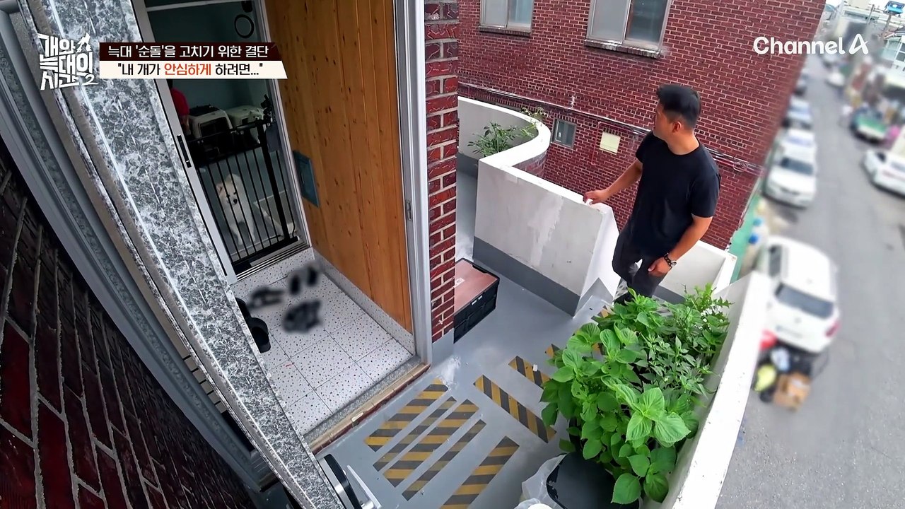 "먹이를 주는 건 긍정이 아니에요" 훈련사를 계속 교체했던 이유는 긍정 교육을 추구하기 때문?