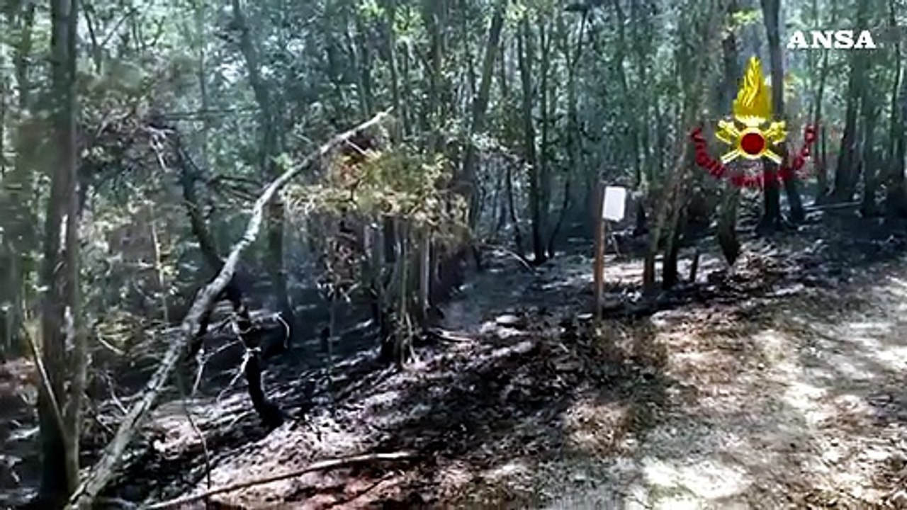 Umbria, forte sospetto di dolo per i roghi sulla fascia appenninica