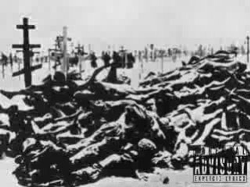 Projet famine chapitre famine animal projet famine