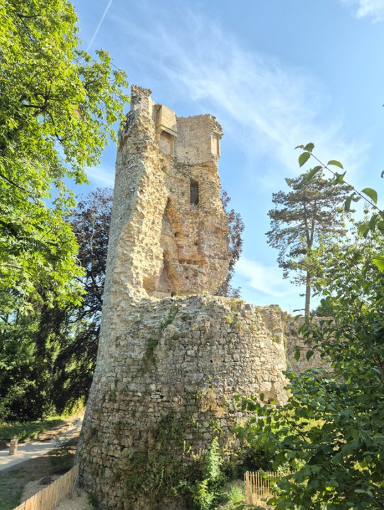 Sortie patrimoine : le château de Saint-Aubin-du-Cormier