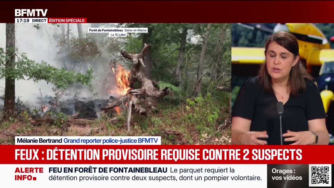 Les deux jeunes, qui ont admis avoir volontairement allumé des feux dans la forêt de Fontainebleau, présentés à un juge