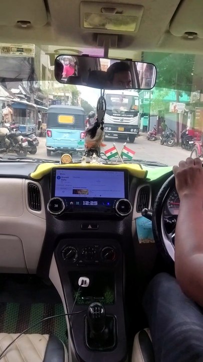 A Short Drive Through the City 🚗🏙️