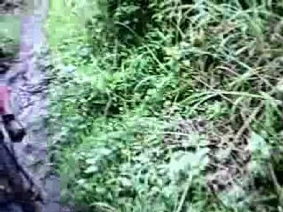 ATC2K video MTB