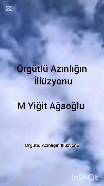 örgütlü azınlığın illüzyonu