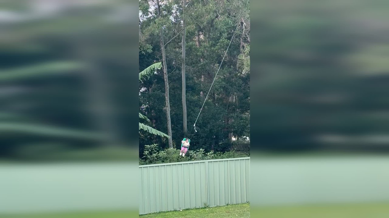 Little Girl's Tree Swing Sends Her so High She...