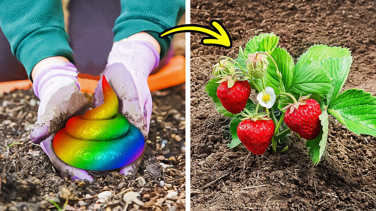 Creative Gardening Hacks for Unique Plant Growth