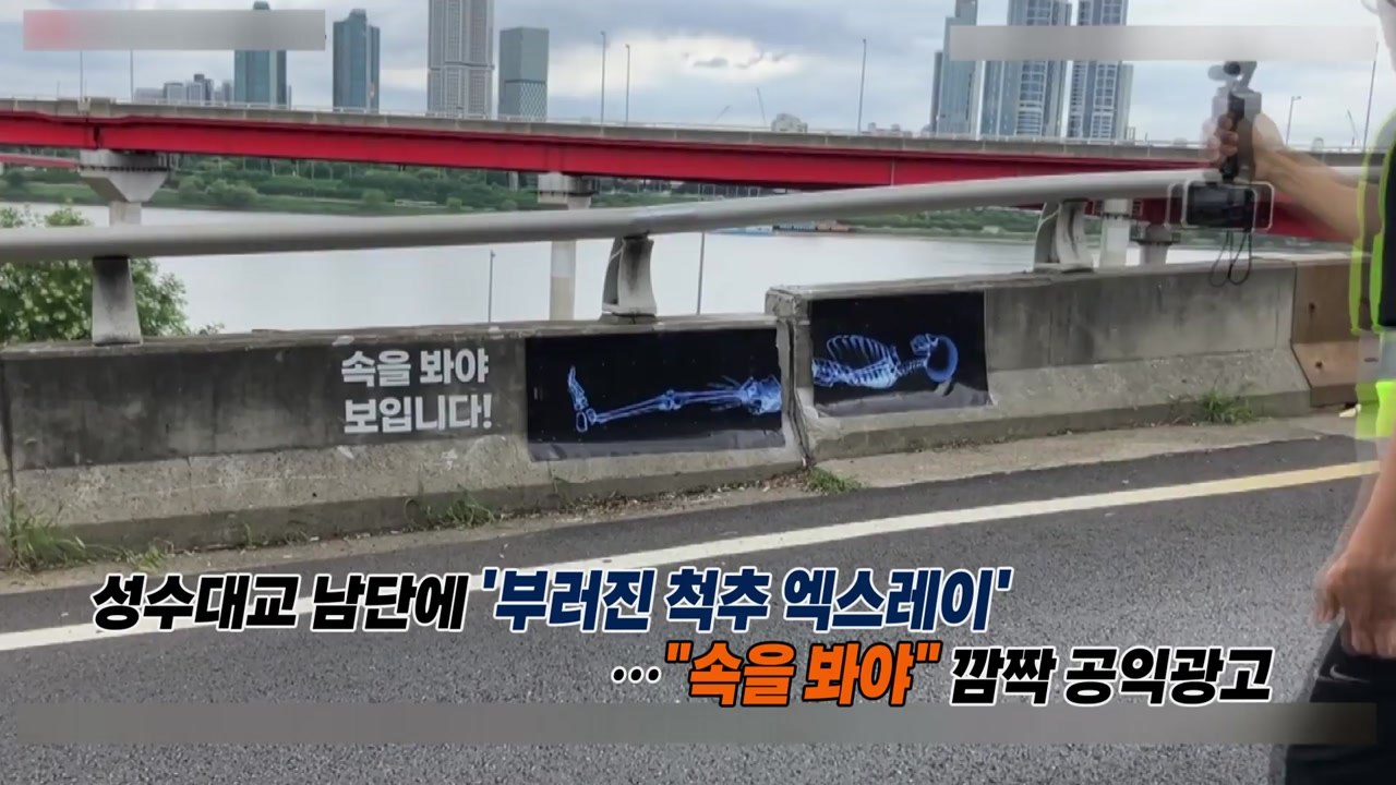 성수대교에 '부러진 척추 엑스레이'가 등장한 사연은? [앵커리포트] / YTN